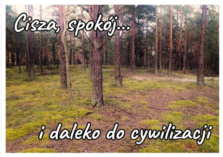 Działka na sprzedaż - Zielona Chocina, Konarzyny, chojnicki, pomorskie, 0 m², 37 000 PLN, NET-gratka-37519159