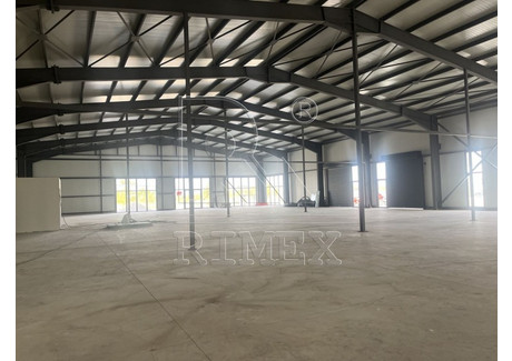 Komercyjne na sprzedaż - Индустриална зона - Юг/Industrialna zona - Iug Пловдив/plovdiv, Bułgaria, 1353 m², 1 240 644 USD (5 185 892 PLN), NET-101577835