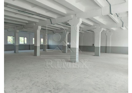 Komercyjne do wynajęcia - Кършияка/Karshiaka Пловдив/plovdiv, Bułgaria, 1700 m², 11 162 USD (45 652 PLN), NET-92402404