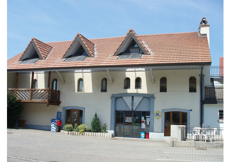 Lokal handlowy do wynajęcia - Route de Villarimboud Villaz-St-Pierre, Szwajcaria, 150 m², 3597 USD (14 568 PLN), NET-93261085