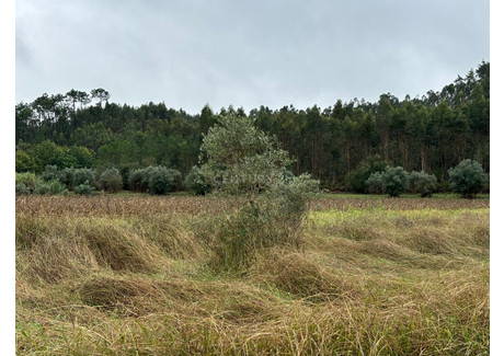 Działka na sprzedaż - Redinha, Portugalia, 24 211 m², 25 781 USD (106 992 PLN), NET-101400528