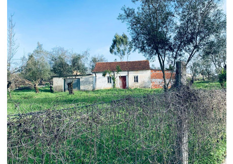 Dom na sprzedaż - Pombal, Portugalia, 49 m², 89 376 USD (344 097 PLN), NET-96127453