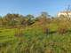 Dom na sprzedaż - Pombal, Portugalia, 64,35 m², 162 502 USD (648 382 PLN), NET-96123869