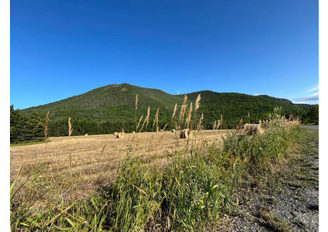 Działka na sprzedaż - Route de la Rivière-de-Manche-d'Épée, Sainte-Madeleine-de-la-Rivière-M Sainte-Madeleine-De-La-Rivière-Madeleine, Kanada, 132 805 m², 54 299 USD (220 995 PLN), NET-99983642