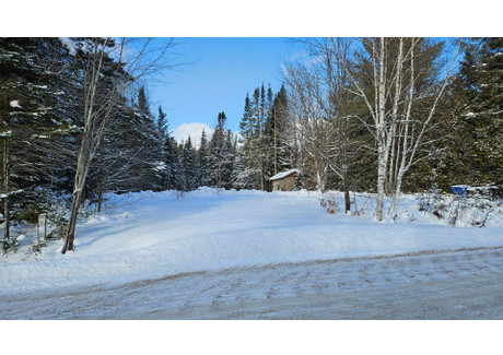 Działka na sprzedaż - 8 Rue du Joli-Pionnier, Sainte-Marguerite-du-Lac-Masson, QC J0T1L0, CA Sainte-Marguerite-Du-Lac-Masson, Kanada, 2696 m², 55 196 USD (229 063 PLN), NET-102992182