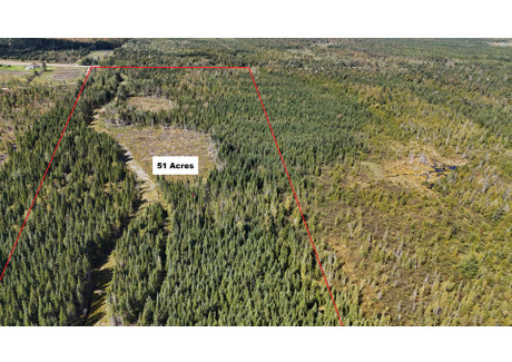 Działka na sprzedaż - Route 108 O., Stornoway, QC G0Y1N0, CA Stornoway, Kanada, 206 642 m², 147 243 USD (565 414 PLN), NET-100576059