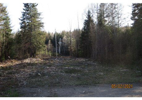 Działka na sprzedaż - Rue Principale, Saint-Donat, QC J0T2C0, CA Saint-Donat, Kanada, 8176 m², 286 009 USD (1 098 276 PLN), NET-71803700