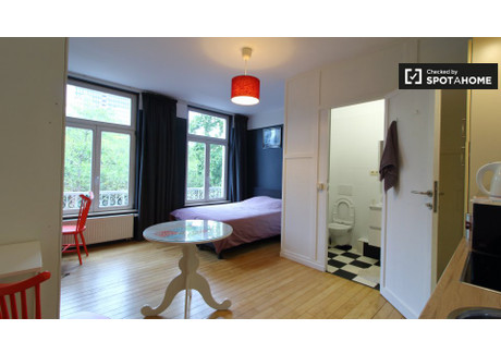 Mieszkanie do wynajęcia - Brussels, Belgia, 30 m², 902 USD (3462 PLN), NET-79105465