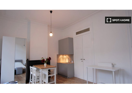 Mieszkanie do wynajęcia - Brussels, Belgia, 40 m², 1070 USD (4387 PLN), NET-79107924