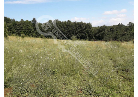 Działka na sprzedaż - с. Саласука/s. Salasuka Габрово/gabrovo, Bułgaria, 4500 m², 41 928 USD (168 133 PLN), NET-95147915