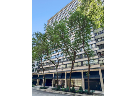 Dom na sprzedaż - 33 E Cedar Street Chicago, Usa, 74,32 m², 199 000 USD (764 160 PLN), NET-99530206