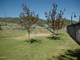 Mieszkanie na sprzedaż - 6749 N 2200 West B Park City, Usa, 66,43 m², 425 000 USD (1 763 750 PLN), NET-103182246