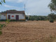 Dom na sprzedaż - São Vicente do Paul e Vale de Figueira Santarém, Portugalia, 56,4 m², 56 259 USD (221 662 PLN), NET-89041876