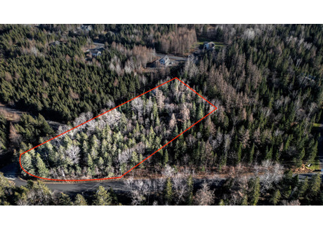 Działka na sprzedaż - 01 Route Taylor, Saint-Simon-les-Mines, QC G5Y5C2, CA Saint-Simon-Les-Mines, Kanada, 9291 m², 99 768 USD (409 050 PLN), NET-102356849