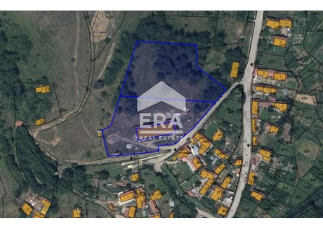 Działka na sprzedaż - с. Шипочане/s. Shipochane София/sofia, Bułgaria, 7154 m², 162 269 USD (663 679 PLN), NET-99305595