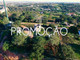 Działka na sprzedaż - Porches Lagoa (algarve), Portugalia, 300 m², 215 586 USD (849 407 PLN), NET-79244803