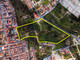 Działka na sprzedaż - Coruche, Portugalia, 35 350 m², 1 089 034 USD (4 388 807 PLN), NET-96129859