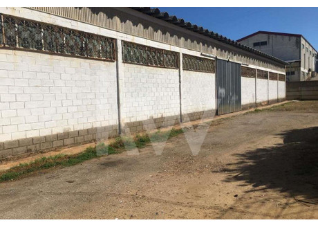 Komercyjne na sprzedaż - Portimao, Portugalia, 1499 m², 1 018 839 USD (3 902 153 PLN), NET-98504367