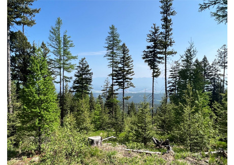 Działka na sprzedaż - Nhn Emmons Canyon Road Kalispell, Usa, 94 777,38 m², 250 000 USD (1 017 500 PLN), NET-97021135