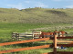 Dom na sprzedaż - 16 Wild Horse, Park County, MT Wilsall, Usa, 187,29 m², 1 400 000 USD (5 376 000 PLN), NET-95741391