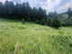 Działka na sprzedaż - TBD Moose Meadows Road, Park County, MT Livingston, Usa, 80 127,76 m², 395 000 USD (1 544 450 PLN), NET-99276430