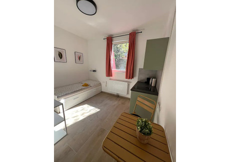 Mieszkanie do wynajęcia - Kolbegasse Vienna, Austria, 25 m², 1605 USD (6165 PLN), NET-100503029