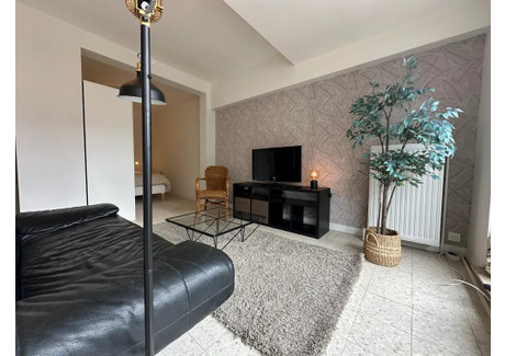 Mieszkanie do wynajęcia - Rue de la Reinette Brussels, Belgia, 45 m², 1402 USD (5526 PLN), NET-95575716