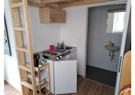 Mieszkanie do wynajęcia - Pernerstorfergasse Vienna, Austria, 25 m², 1093 USD (4195 PLN), NET-97405375