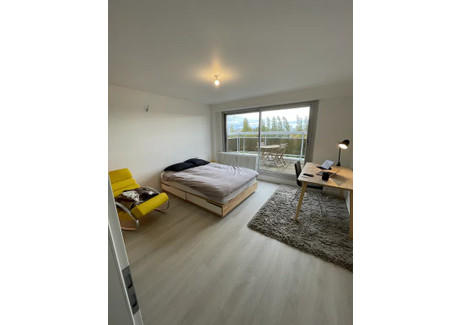 Mieszkanie do wynajęcia - Rue des Carolingiens Strasbourg, Francja, 160 m², 1050 USD (4285 PLN), NET-93718374
