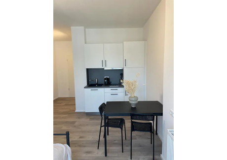 Mieszkanie do wynajęcia - Neckarstraße Stuttgart, Niemcy, 22 m², 1134 USD (4708 PLN), NET-100534267