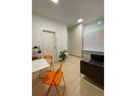 Mieszkanie do wynajęcia - Calle de Lavapiés Madrid, Hiszpania, 27 m², 832 USD (3452 PLN), NET-90209479