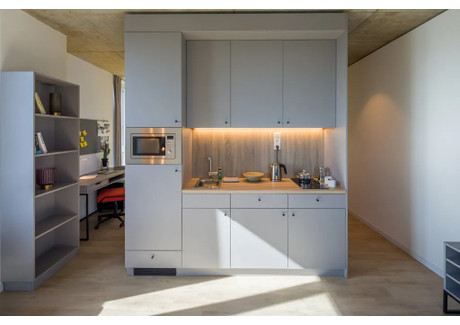 Mieszkanie do wynajęcia - Schnirchgasse Vienna, Austria, 41 m², 1330 USD (5359 PLN), NET-90209661