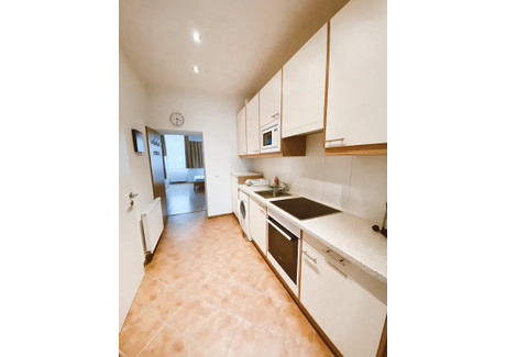 Mieszkanie do wynajęcia - Trambauerstraße Vienna, Austria, 30 m², 1226 USD (5026 PLN), NET-90215561