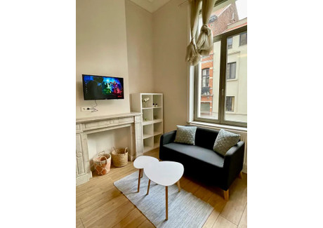 Mieszkanie do wynajęcia - Rue Saint-Bernard Saint-Gilles, Belgia, 45 m², 1197 USD (4811 PLN), NET-90216647