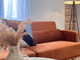 Mieszkanie do wynajęcia - Avinguda Doctor Peset Aleixandre Valencia, Hiszpania, 75 m², 592 USD (2387 PLN), NET-93493129