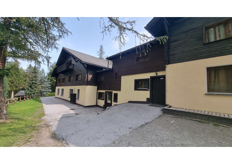 Hotel na sprzedaż - Zinal, Szwajcaria, 1130 m², 2 943 143 USD (11 272 238 PLN), NET-94738149