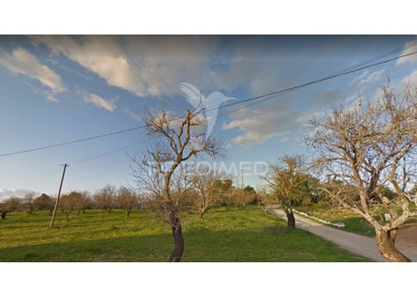 Działka na sprzedaż - Guia Albufeira, Portugalia, 56 000 m², 728 987 USD (2 988 846 PLN), NET-78800919