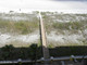 Mieszkanie na sprzedaż - 1031 1ST Street S Jacksonville Beach, Usa, 239,69 m², 1 999 900 USD (8 199 590 PLN), NET-100977082