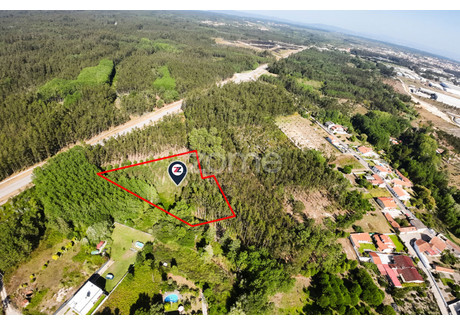 Działka na sprzedaż - Cantanhede, Portugalia, 4160 m², 19 756 USD (81 987 PLN), NET-101154076