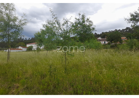 Działka na sprzedaż - Pombal, Portugalia, 2850 m², 59 799 USD (234 412 PLN), NET-88635865