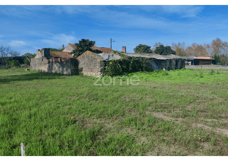 Dom na sprzedaż - Cantanhede, Portugalia, 145 m², 67 532 USD (274 855 PLN), NET-84635991