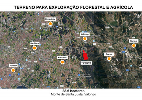 Działka na sprzedaż - Valongo, Portugalia, 386 000 m², 673 022 USD (2 752 659 PLN), NET-68148886