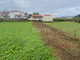 Dom na sprzedaż - Paredes, Portugalia, 260 m², 185 136 USD (729 435 PLN), NET-93012617