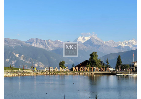 Dom na sprzedaż - 42 Rue Centrale Crans-Montana, Szwajcaria, 385 m², 2 287 397 USD (9 378 330 PLN), NET-100969952