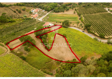 Działka na sprzedaż - Alcobaça e Vestiaria Alcobaça, Portugalia, 4750 m², 66 815 USD (255 901 PLN), NET-82282932