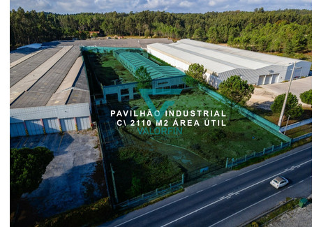 Magazyn na sprzedaż - Pataias e Martingança Alcobaça, Portugalia, 2110 m², 343 565 USD (1 384 567 PLN), NET-72804518