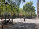 Komercyjne do wynajęcia - Barcelona Capital, Hiszpania, 611 m², 5355 USD (21 528 PLN), NET-96953684