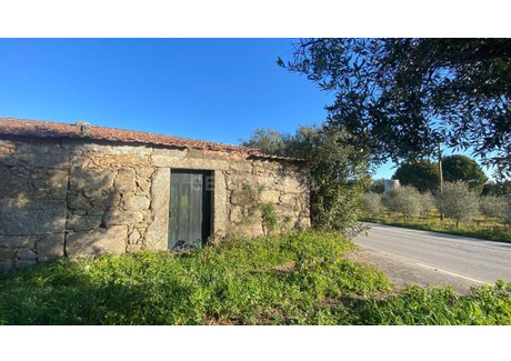 Mieszkanie na sprzedaż - Ninho Do Açor E Sobral Do Campo, Portugalia, 16 m², 16 333 USD (66 476 PLN), NET-96117970