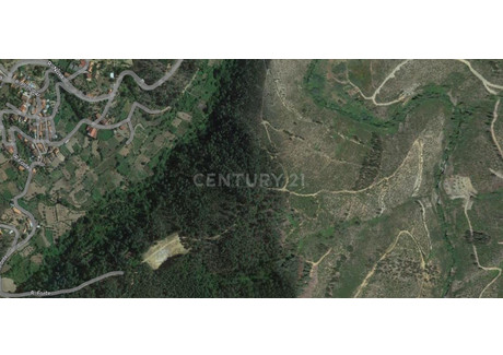 Działka na sprzedaż - Sarnadas De São Simão, Portugalia, 34 500 m², 19 795 USD (80 961 PLN), NET-96125026