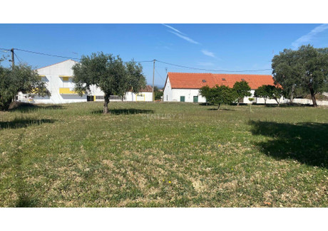 Działka na sprzedaż - Castelo Branco, Portugalia, 1320 m², 58 888 USD (232 017 PLN), NET-96126622